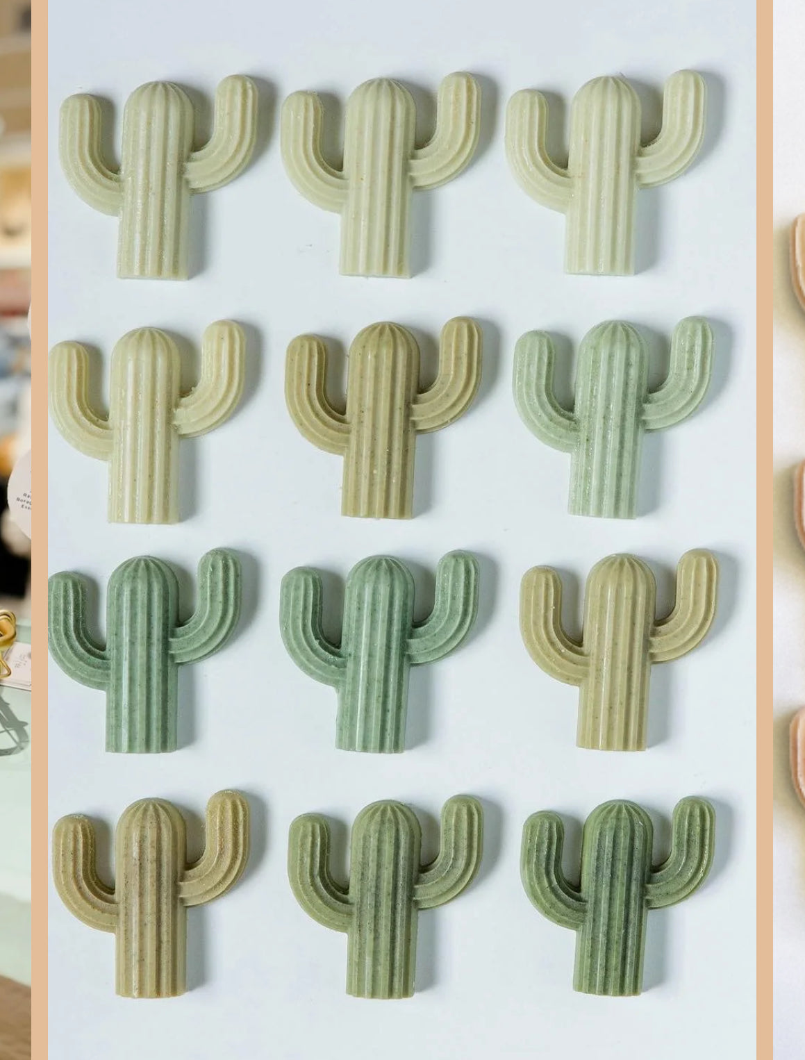 Mini Cactus Soap Set