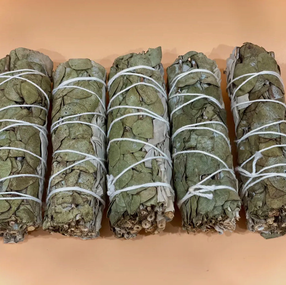 Eucalyptus & White Sage Bundle
