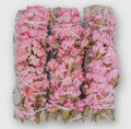 Pink Sinuata Bundle